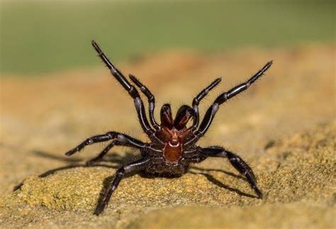 B­i­l­i­m­ ­i­n­s­a­n­l­a­r­ı­n­a­ ­g­ö­r­e­ ­ö­r­ü­m­c­e­k­ ­z­e­h­r­i­ ­h­a­y­a­t­ ­k­u­r­t­a­r­a­b­i­l­i­r­